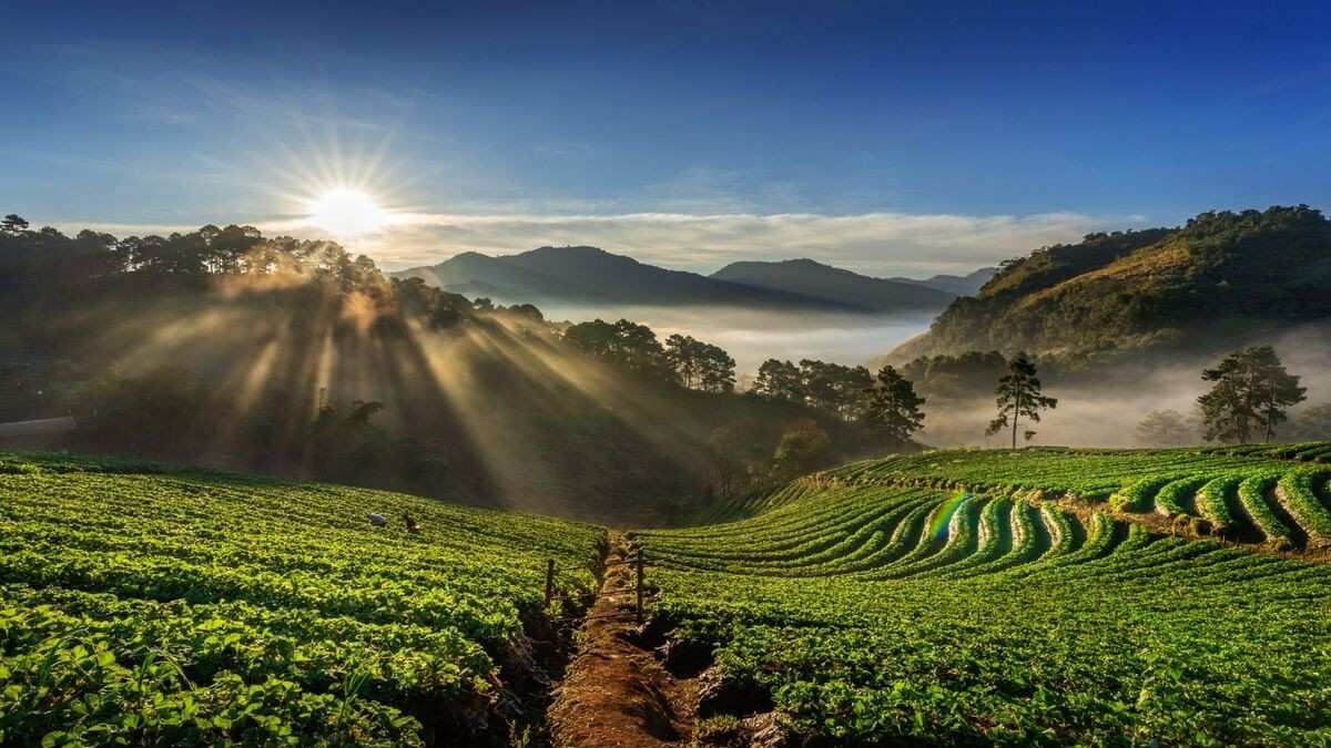 Coorg